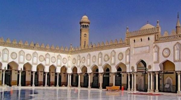 «أمة النحل بين الإعجاز البلاغي والعلمي».. الأزهر يواصل لقاء التفسير غدا