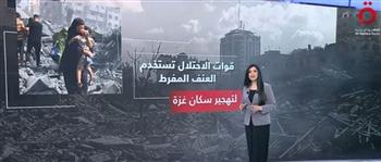   أمل الحناوي : هناك صراعات متزايدة تهز منطقة الشرق الأوسط بسبب حرب إسرائيل الغاشمة على غزة 