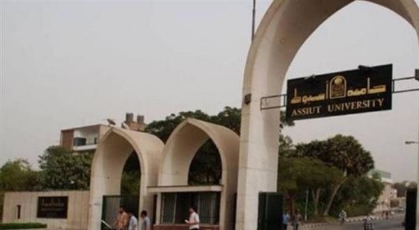 جامعة أسيوط تنظم ندوة حول مجالات العمل الحر للشباب بالتعاون مع جامعة الأزهر