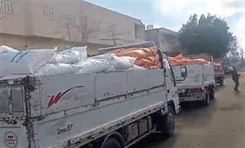 ضبط 30 طن أسمدة زراعية محظور تداولها ومبيدات زراعية منتهية الصلاحية بالبحيرة