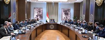 "الوزراء": المناطق الحرة الخاصة تمثل 50% من حجم رؤوس الأموال 