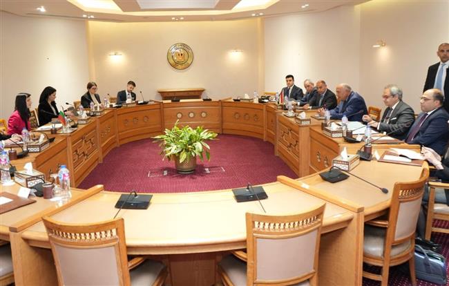 في بيان مشترك.. مصر وبلغاريا تؤكدان التزامهما بمواصلة تعزيز حوارهما السياسي