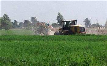   "زراعة الإسكندرية": حملات مكبرة لإزالة التعديات على الأراضي الزراعية