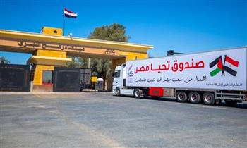   ميناء رفح البري يستقبل 40 مصابا فلسطينيا.. وإدخال 115 شاحنة مساعدات