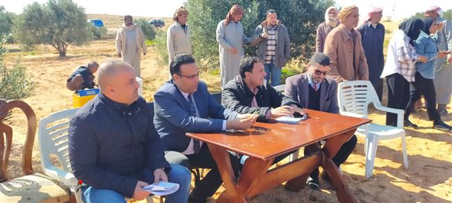 توريد وتوزيع 15 طن تقاوي قمح على مزارعي سيوة بدعم نصف الثمن