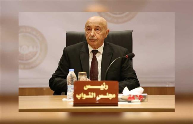 رئيس "النواب الليبي" يؤكد ضرورة تشكيل حكومة موحدة