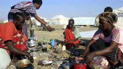 المنسق الأممي للإغاثة: 15 مليون دولار لمواجهة أزمة الغذاء في السودان