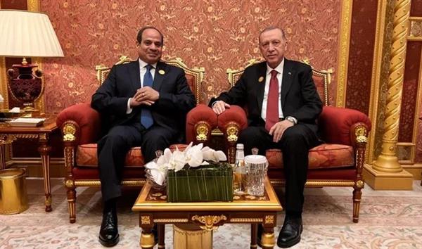 أردوغان: أكدنا مع الرئيس السيسي الحرص على وحدة أراضي ليبيا والصومال والسودان
