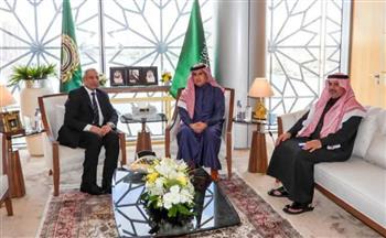 مندوب السعودية بجامعة الدول يلتقى رئيس العربية للعلوم والتكنولوجيا والنقل البحري