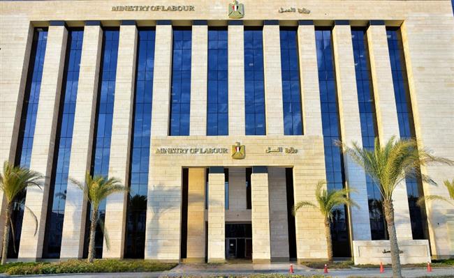 بالإنفوجراف.. حصاد وزارة العمل في 7 أيام.. فرص عمل وعقود لذوي همم 