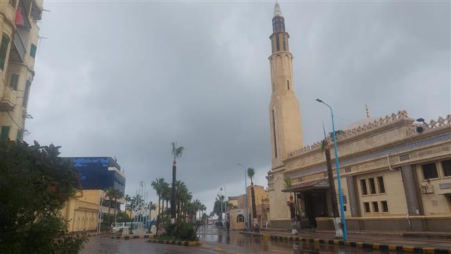 أمطار وصقيع.. «الشمس الصغيرة» تضرب الإسكندرية 