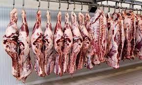   استقرار أسعار اللحوم اليوم 