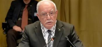   وزير خارجية فلسطين أمام "العدل الدولية": نطالب بدعم حق الفلسطينيين في تقرير المصير
