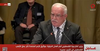   وزير الخارجية الفلسطيني: لابد من إنهاء الحصانة الإسرائيلية.. فيديو