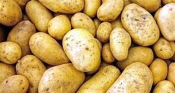   الزراعة: فتح الأسواق البرازيلية أمام البطاطس المصرية
