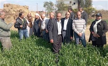   "الزراعة": فرق إرشادية للمحاصيل و الإنتاج الحيواني في 21 محافظة خلال يناير
