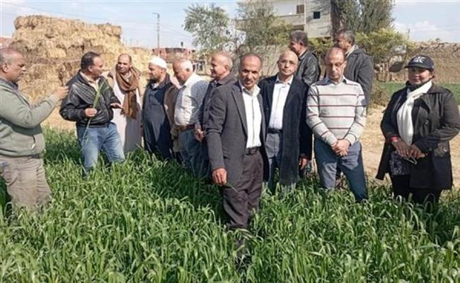 "الزراعة": فرق إرشادية للمحاصيل و الإنتاج الحيواني في 21 محافظة خلال يناير