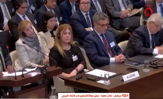 مندوب فلسطين بالاتحاد الأوروبي: يجب فرض عقوبات على إسرائيل لوقف انتهاكها القوانين