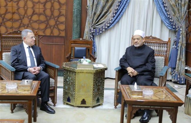 شيخ الأزهر: أتألم من تطبيع واعتياد مشاهد قتل الشهداء في غزة