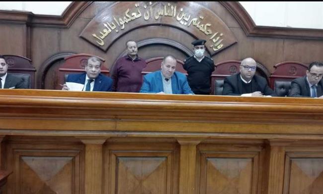 الشرقية .. المؤبد لنجار مسلح لاتهامه بقتل زوجة شقيقه الأكبر