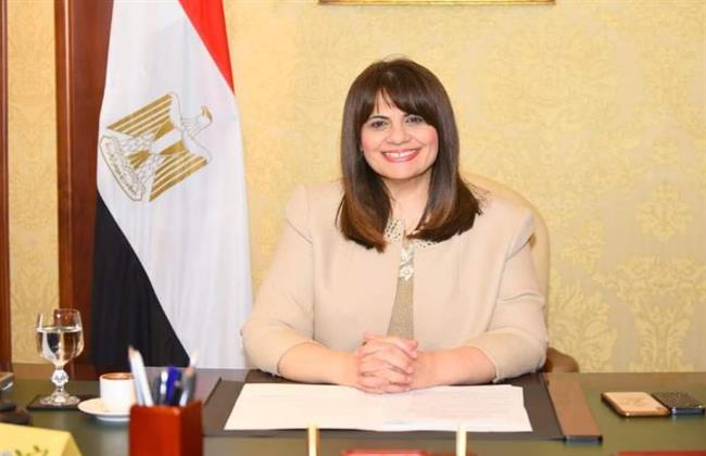 "الهجرة": التطبيق الإلكتروني للمصريين بالخارج يتيح خدمات تساعد على شراء الاحتياجات المنزلية