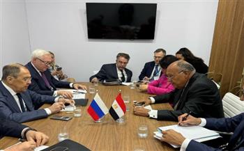  "شكري" يلتقي وزير الخارجية الروسي على هامش اجتماعات مجموعة الـ20