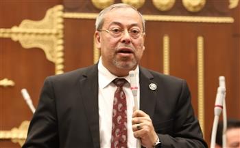   برلماني: مرافعة مصر أمام "العدل الدولية" فضحت انتهاكات وأكاذيب دولة الاحتلال