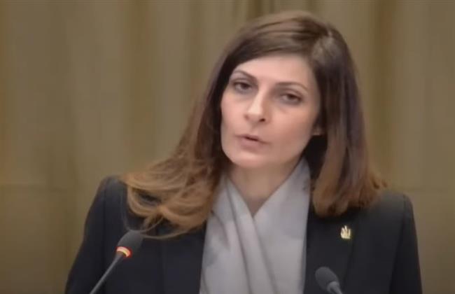 أستاذ علاقات دولية: مرافعة مصر أمام محكمة العدل شخصت الداء ووصفت الدواء