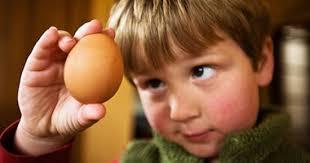   اخصائي الأطفال:   تناول بيضة يوميا تحمى من التقزم 