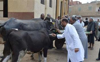  "بيطري الغربية": تحصين 133 ألف رأس ماشية ضد الأمراض الوبائية