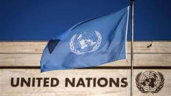   خبراء بالأمم المتحدة يطالبون بوقف فوري لصادرات الأسلحة إلى إسرائيل
