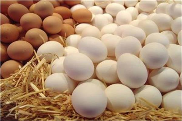 استقرار أسعار البيض اليوم