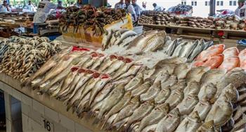   أسعار السمك اليوم الأحد بالأسواق