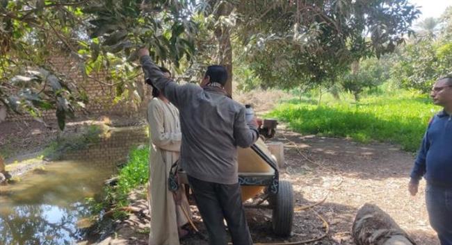 "الزراعة" تتابع أعمال البساتين والمشاتل بـ المنيا