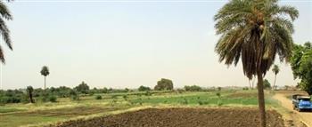   ضبط عصابة للاستيلاء على الأراضي الزراعية في الشيخ زايد