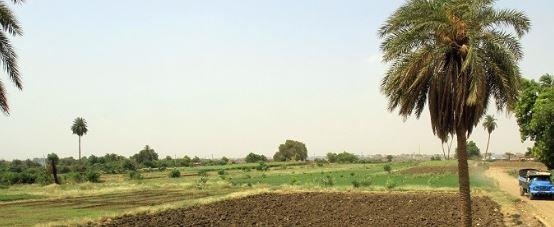 ضبط عصابة للاستيلاء على الأراضي الزراعية في الشيخ زايد