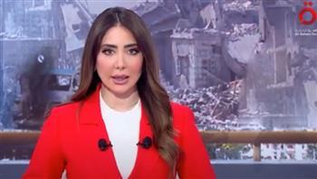 "الجاليات الفلسطينية": يجب تدخل «العدل الدولية» لوقف جرائم إسرائيل على غزة