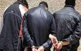 قرار عاجل ضد عصابة فرض الإتاوات على الأراضى والمزارع بـ زايد