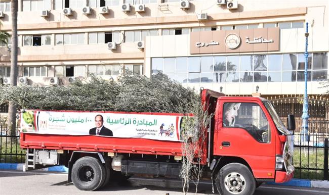 مطروح تستقبل 65 ألف شجرة  لزراعتها بمدن ومراكز المحافظة 