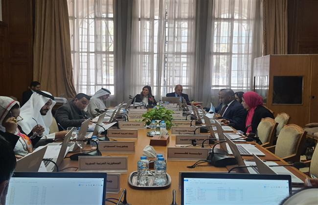 الأمانة الفنية لـ وزراء الصحة العرب تبحث التداعيات الصحية للعدوان على فلسطين