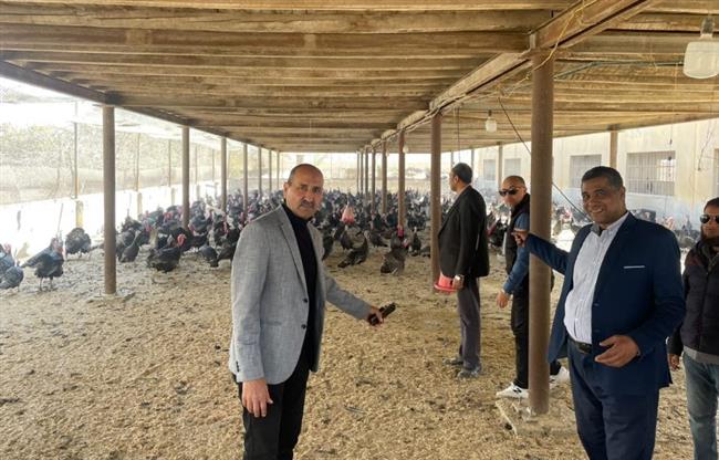 بني سويف .. السكرتير المساعد يناقش طرح منتجات الدواجن تزامنا مع شهر رمضان