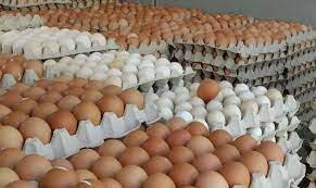   استقرار أسعار البيض اليوم 