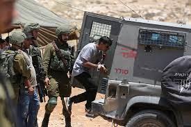   نادي الأسير الفلسطيني: الاحتلال يعتقل 12 فلسطينيا بالضفة الغربية