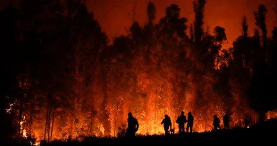 تشيلي تعلن حالة الطوارئ بعد مصرع 10 أشخاص في حرائق الغابات