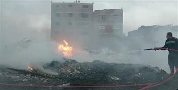   نفوق عجلين إثر حريق في منطقة الزرايب بمنشأة ناصر