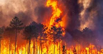   رئيس تشيلي يعلن مقتل 46 شخصا جراء حرائق الغابات وسط وجنوب البلاد