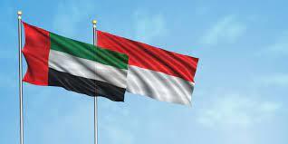 الإمارات وإندونيسيا تبحثان سبل وآليات تعزيز التعاون المشترك