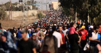 "فرحات": شبه إجماع دولي نحو رفض فكرة التهجير القسري للشعب الفلسطيني.. فيديو