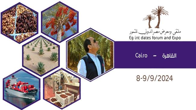لزيادة الصادرات المصرية.. إعلان تفاصيل ملتقى ومعرض مصر الدولي الأول للتمور