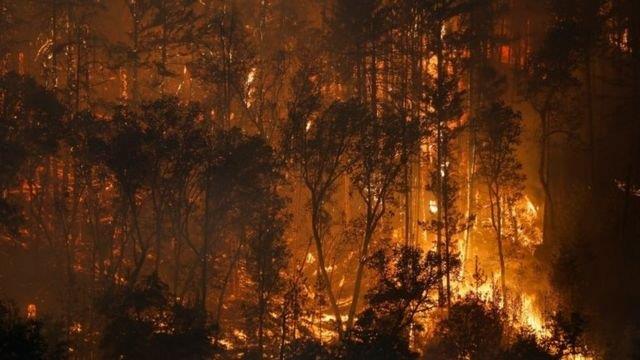 حرائق في تشيلي وندرة ثلوج بسويسرا.. تغيرات المناخ تعصف بدول العالم